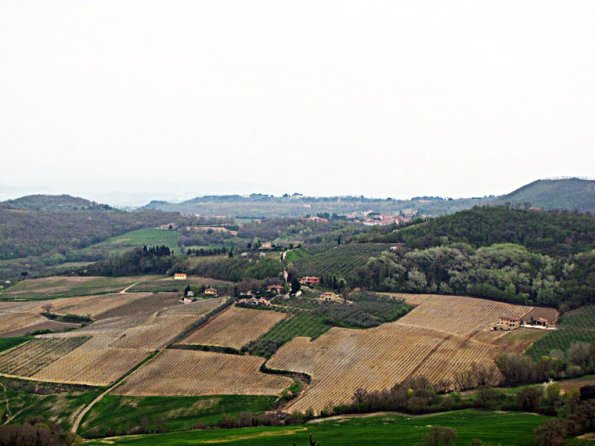 montepulciano07