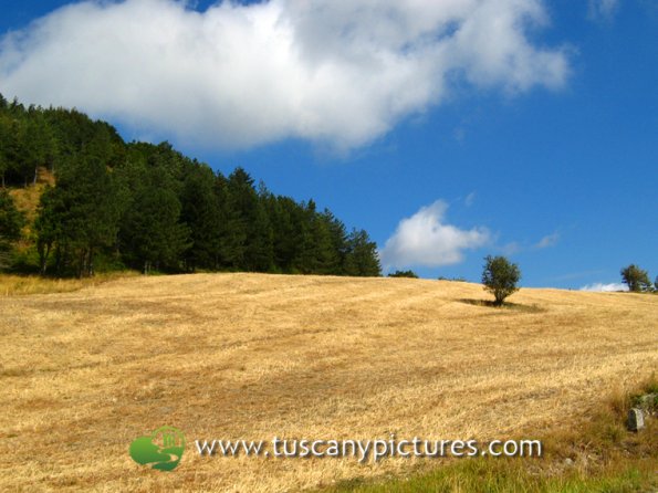 Mugello