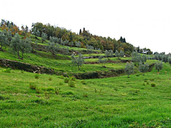 fiesole-pratone-montececeri2