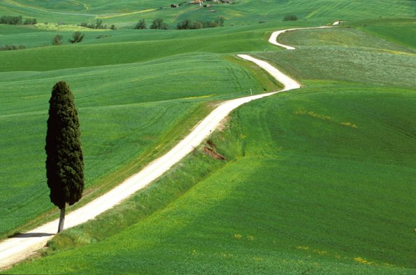 Europe, Italy, Ville di Corsano