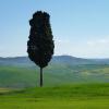 Val d'Orcia